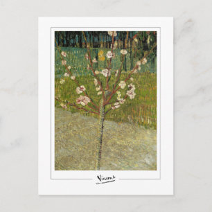 Vincent Van Gogh #14-3 - Fine Art Postcard