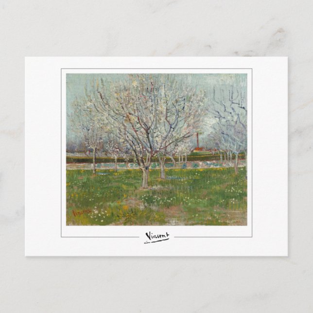 Vincent Van Gogh #20-3 - Fine Art Postcard (Front)