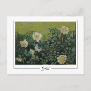 Vincent Van Gogh #21 - Fine Art Postcard