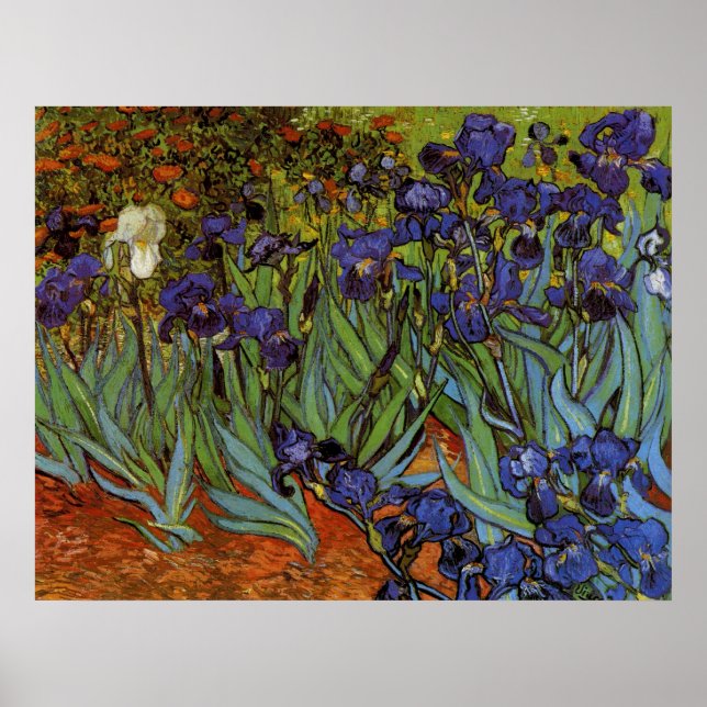 Vincent van Gogh 31 Poster (Front)