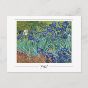 Vincent Van Gogh #45-3 - Fine Art Postcard