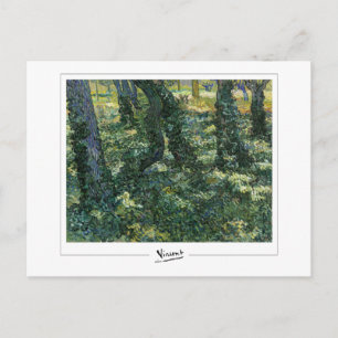 Vincent Van Gogh #57-2 - Fine Art Postcard