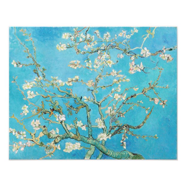 Vincent van Gogh - Almond Blossom Photo Print (Front)