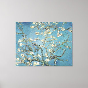 Vincent van Gogh Almond branches in bloom, 1890 Canvas Print