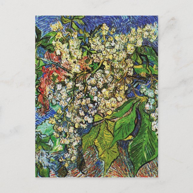 Vincent van Gogh-Blooming chestnut branches Postcard (Front)