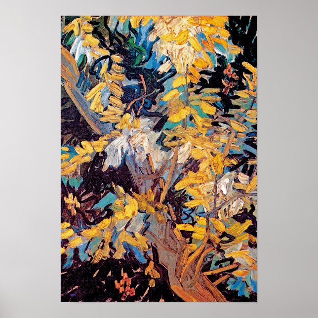 Vincent Van Gogh - Blossoming Acacia Branches Poster (Front)