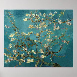 Vincent Van Gogh -  Blossoming Almond Tree Poster