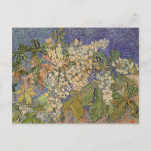 Vincent van Gogh - Blossoming Chestnut Branches Postcard
