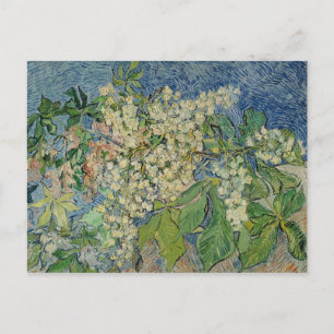 Vincent van Gogh   Blossoming Chestnut Branches Postcard