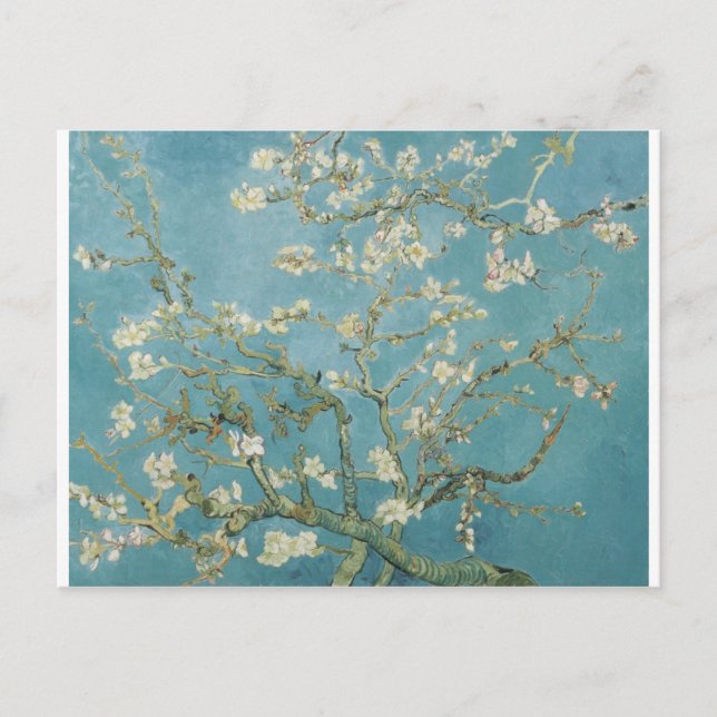 Vincent Van Gogh Branches of Almond Tree Postcard (Front)