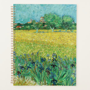 Vincent van Gogh - Champ avec Iris près d'Arles