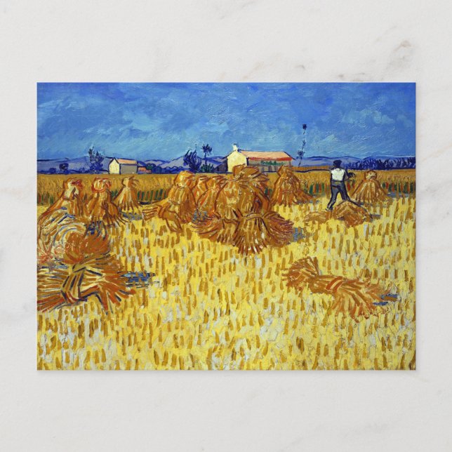 Vincent van Gogh Corn Harvest in Provence Postcard (Front)