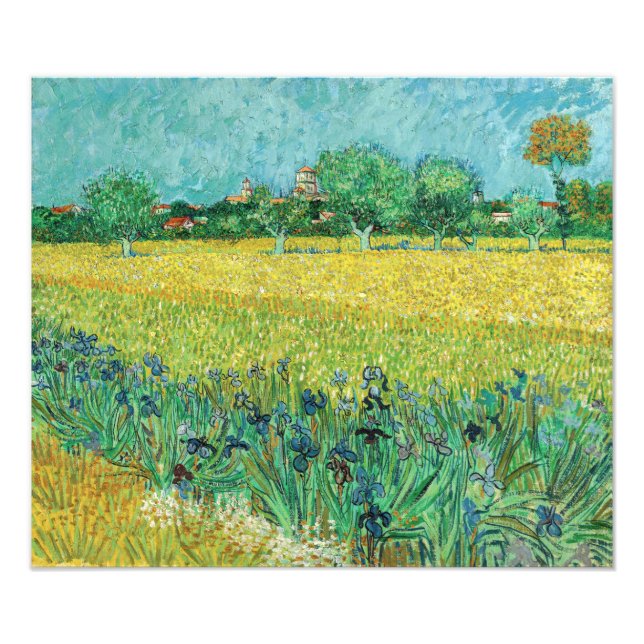 Vincent van Gogh - Field with Irises near Arles Photo Print (Front)