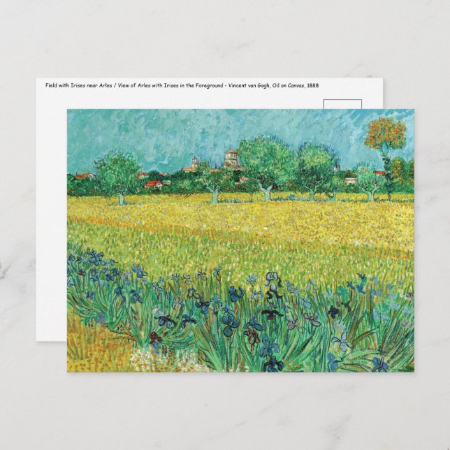 Vincent van Gogh - Field with Irises near Arles Postcard (Front/Back)