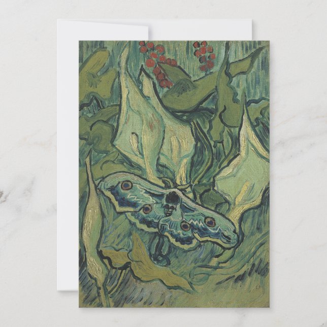 Vincent van Gogh - Great Peacock Moth (Front)