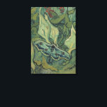 Vincent van Gogh - Great Peacock Moth Canvas Print<br><div class="desc">Great Peacock Moth (1889) by Vincent van Gogh is a vintage fine art still life post impressionism nature painting. An insect, the Emperor Moth, in a spring garden with Calla Lily flowers and other plants. Van Gogh called it a 'death's-head moth' and painted a skull on the back of its...</div>