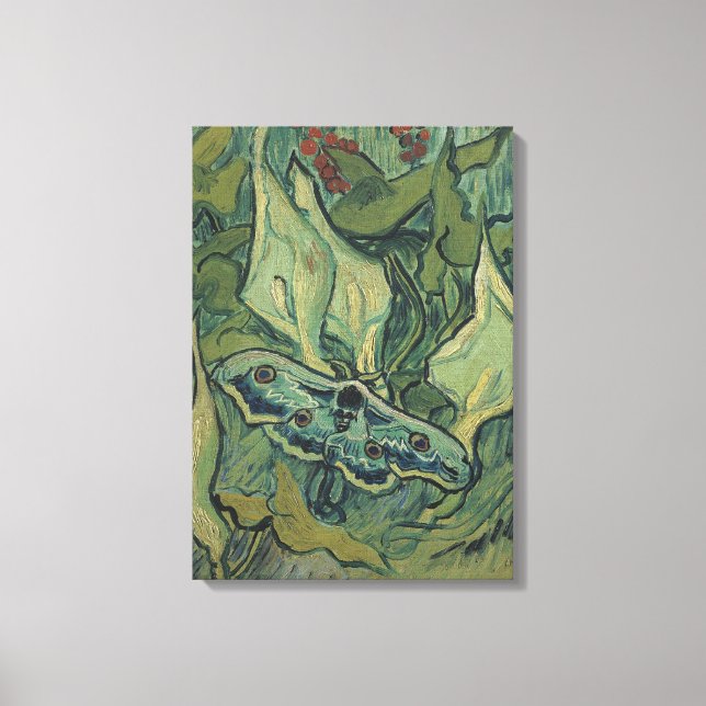 Vincent van Gogh - Great Peacock Moth Canvas Print (Front)