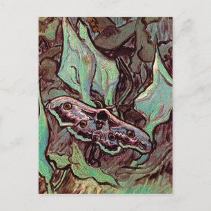 Vincent Van Gogh - Great Peacock Moth Fine Art Postcard