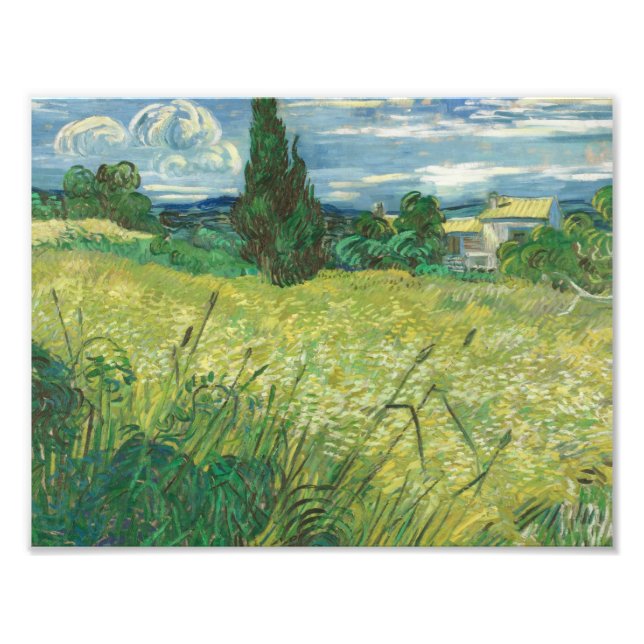 Vincent van Gogh - Green Field Photo Print (Front)