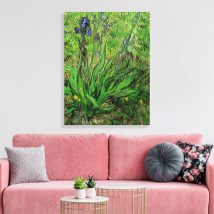 Vincent van Gogh - Iris Canvas Print
