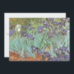 Vincent van Gogh - Irises<br><div class="desc">Irises (1889) by Van Gogh is a vintage post impressionism fine art floral nature painting. A group of purple bearded irises and a single white iris flower growing in a garden. It was one of his first paintings while he was at the asylum in Saint-Remy-de-Provence. In 1987 it became the...</div>