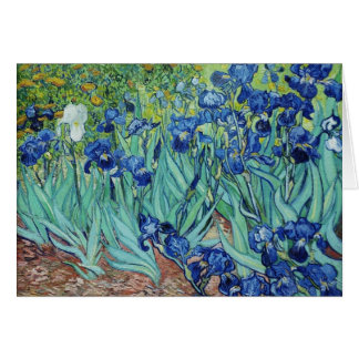Vincent van Gogh Irises