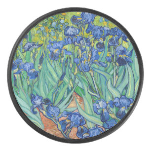 Vincent Van Gogh - Irises