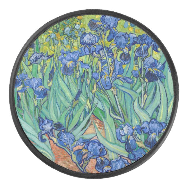 Vincent Van Gogh - Irises (Devant)