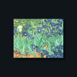 Vincent van Gogh | Irises, 1889 Canvas Print<br><div class="desc">Irises,  1889 | by Vincent van Gogh | Art Location: J. Paul Getty Museum,  Los Angeles,  USA | Dutch Artist | Image Collection Number: BAL40070</div>