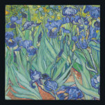 Vincent Van Gogh - Irises 1889 Faux Canvas Print<br><div class="desc">Vincent Van Gogh - Irises 1889</div>