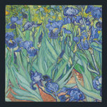 Vincent Van Gogh - Irises 1889 Faux Canvas Print<br><div class="desc">Vincent Van Gogh - Irises 1889</div>