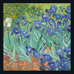 Vincent Van Gogh - Irises 1889 Photo Print<br><div class="desc">Vincent Van Gogh - Irises 1889</div>