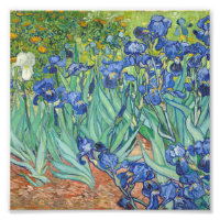Vincent Van Gogh - Irises 1889