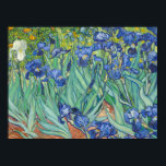 Vincent Van Gogh - Irises 1889 Poster<br><div class="desc">Vincent Van Gogh - Irises 1889</div>
