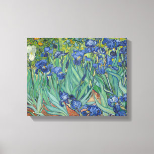 Vincent van Gogh - Irises Canvas Print