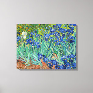 Vincent Van Gogh - Irises Canvas Print