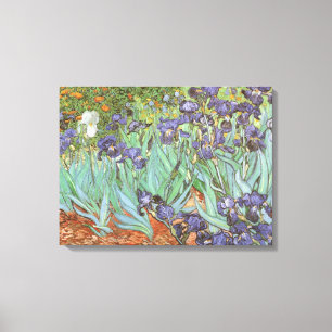 Vincent van Gogh - Irises Canvas Print