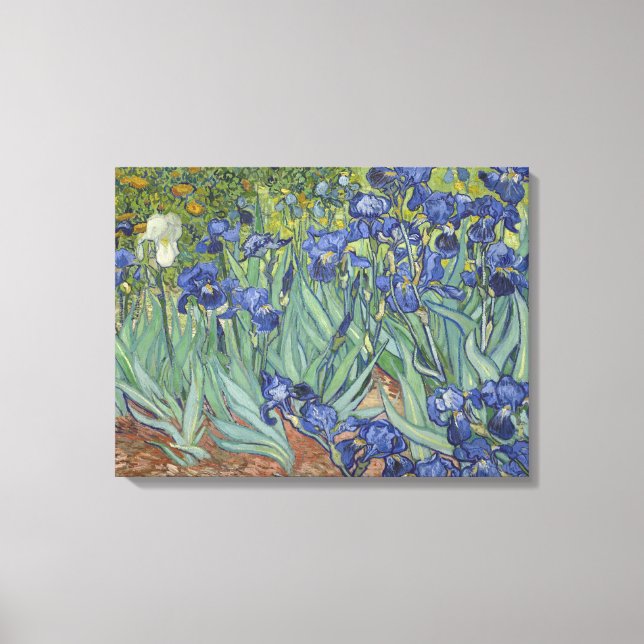 Vincent Van Gogh Irises Canvas Print (Front)