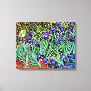 Vincent Van Gogh - Irises - Flower Lover Fine Art Canvas Print