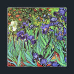 Vincent Van Gogh - Irises - Flower Lover Fine Art Magnet<br><div class="desc">Oil on canvas from 1889 showing beautiful purple irises that Van Gogh painted while staying at the Asylum at Saint Paul-de-Mausole in Saint-Remy, France. While many versions of this painting show the flowers as blue, scientists studying the irises in one of Van Gogh's later paintings have found that the flowers...</div>