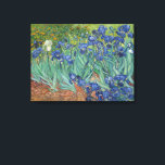 Vincent Van Gogh, Irises, Les Iris Canvas Print<br><div class="desc">Vincent Van Gogh - Irises,  Les Iris,  1889.</div>