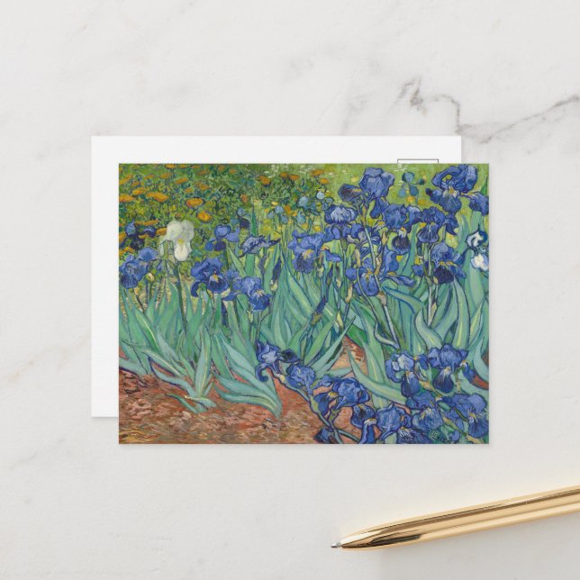 Vincent Van Gogh, Irises, Les Iris Postcard (Front/Back In Situ)