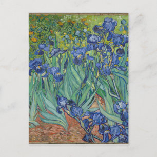 Vincent Van Gogh Irises Painting Flowers Art Work Postcard