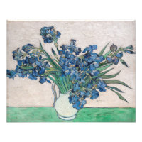 Vincent van Gogh - Irises