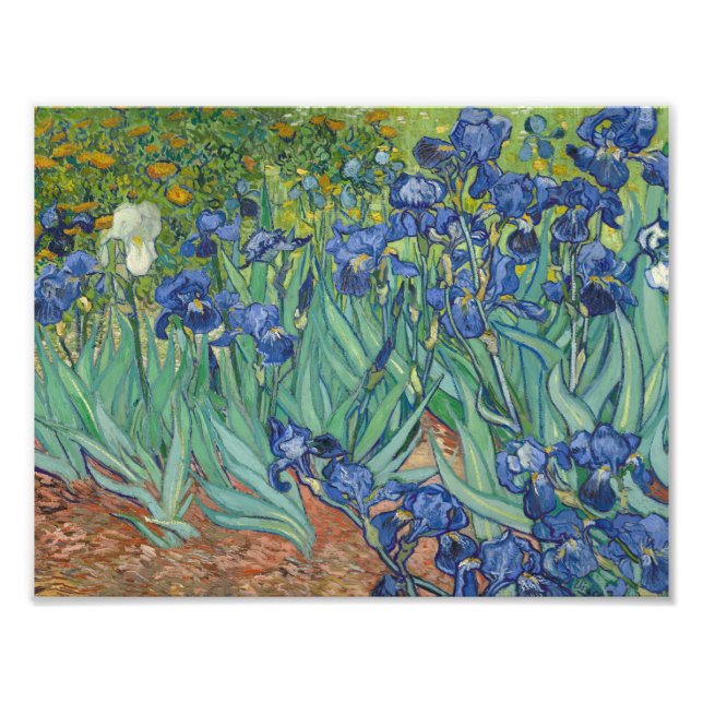 Vincent van Gogh - Irises Photo Print (Front)