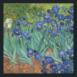 Vincent Van Gogh - Irises Photo Print<br><div class="desc">Vincent Van Gogh - Irises</div>