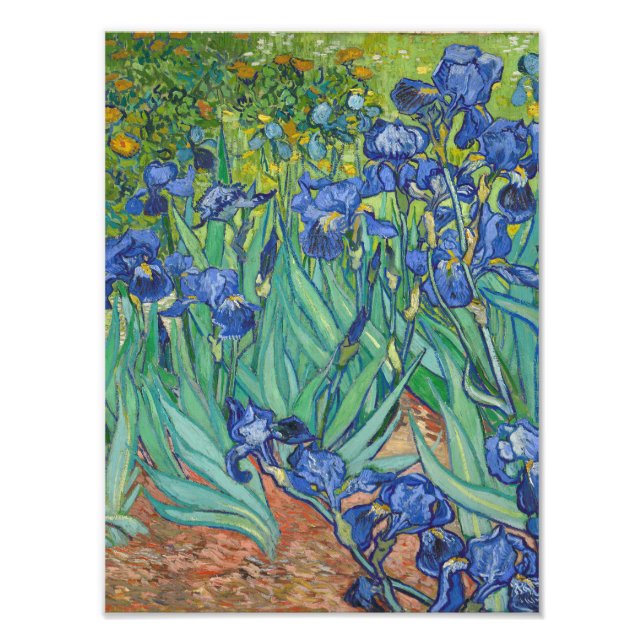 Vincent Van Gogh - Irises Photo Print (Front)