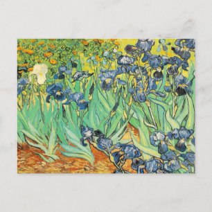 Vincent Van Gogh - Irises Postcard