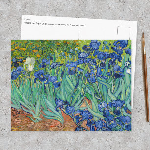 Vincent Van Gogh - Irises Postcard