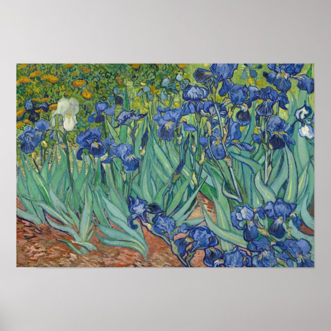 Vincent van Gogh - Irises Poster (Front)